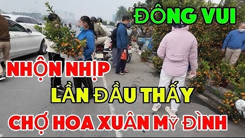 Tết Hà Nội 2025- Không Khí Nhộn Nhịp Chưa Từng Thấy, Quất Đào Mai Tràn Ngập Chợ Hoa Tết Mỹ Đình