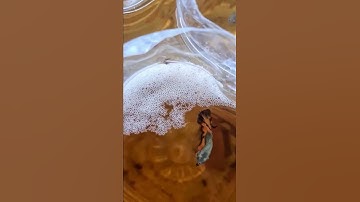 Vì Sao Cá Betta Nhã Bọt??? #Short