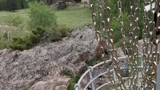 Bear Mountain Disc Golf Course 2020