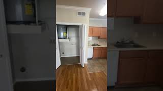 Alfred Virtual Tour (462 sq.ft) 0x1