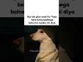 Ghar Walo Ko Trending New Aestheic Funny Explore Viralmemes Popular Catshorts Funnymemes Shorts 