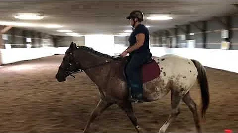 9-6 Dawn Adkins riding video #1