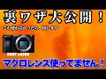 マクロレンズはいらない。お気に入りの単焦点レンズで誰でも簡単にマクロに映せる裏ワザ大公開！#α6600 #α6500 #α6400