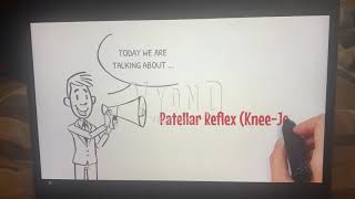 Patellar Reflex