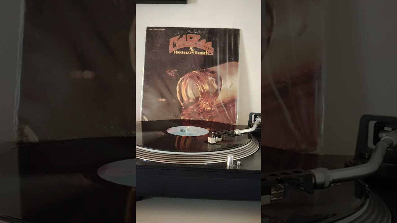 Celi Bee & The Buzzy Bunch - One Love - 33t  1977 ( disco ) 