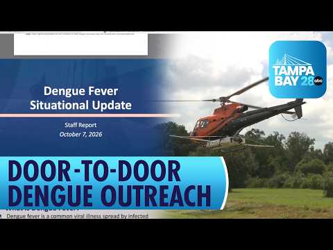 Helicopters, Door-to-Door Outreach and Millions Spent: County Details Dengue Fight