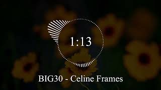 BIG30 - Celine Frames