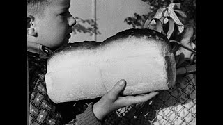 Junior Social Studies: A Loaf Of Bread