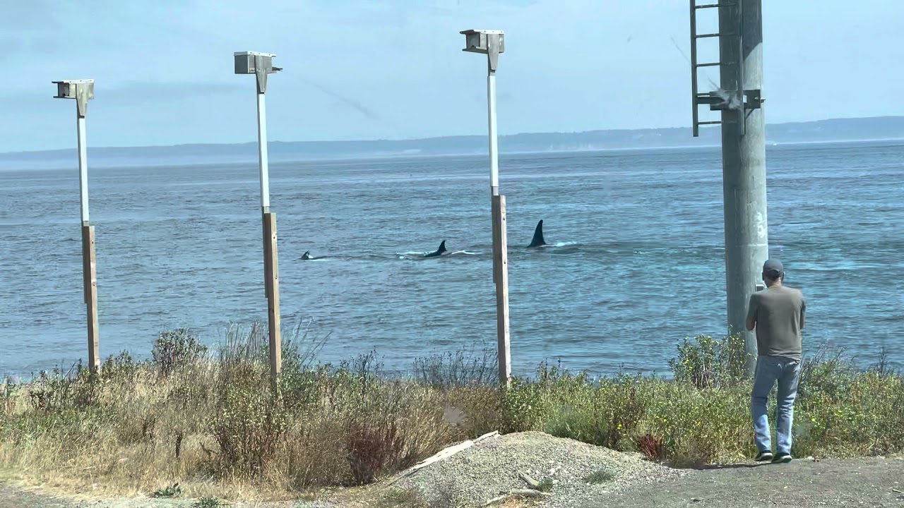 August 16, 2021 Point Hudson RV park Port Townsend