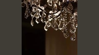 Countless Fallen Blossoms