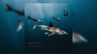 Adina Nova & Coff - The Serpents Call Resimi