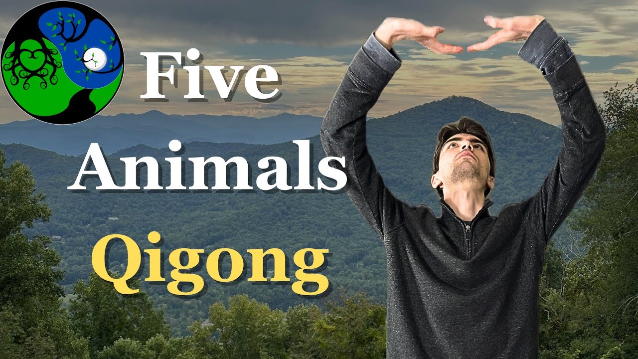 Введение в мастер-класс по цигун «Пять животных забав»
