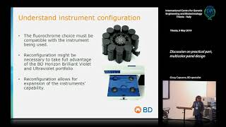 G. Capuano - Discussion on the practical part, multicolor panel design
