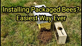 Installing Packaged Bees? Easiest Way Ever