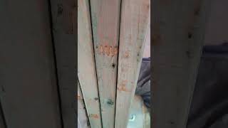Termite Pre Treatments by Bearded Bug Man 29 views 2 years ago 5 minutes, 4 seconds