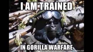 Navy Seal Copypasta Dramatic Reading II: Sexier Edition News