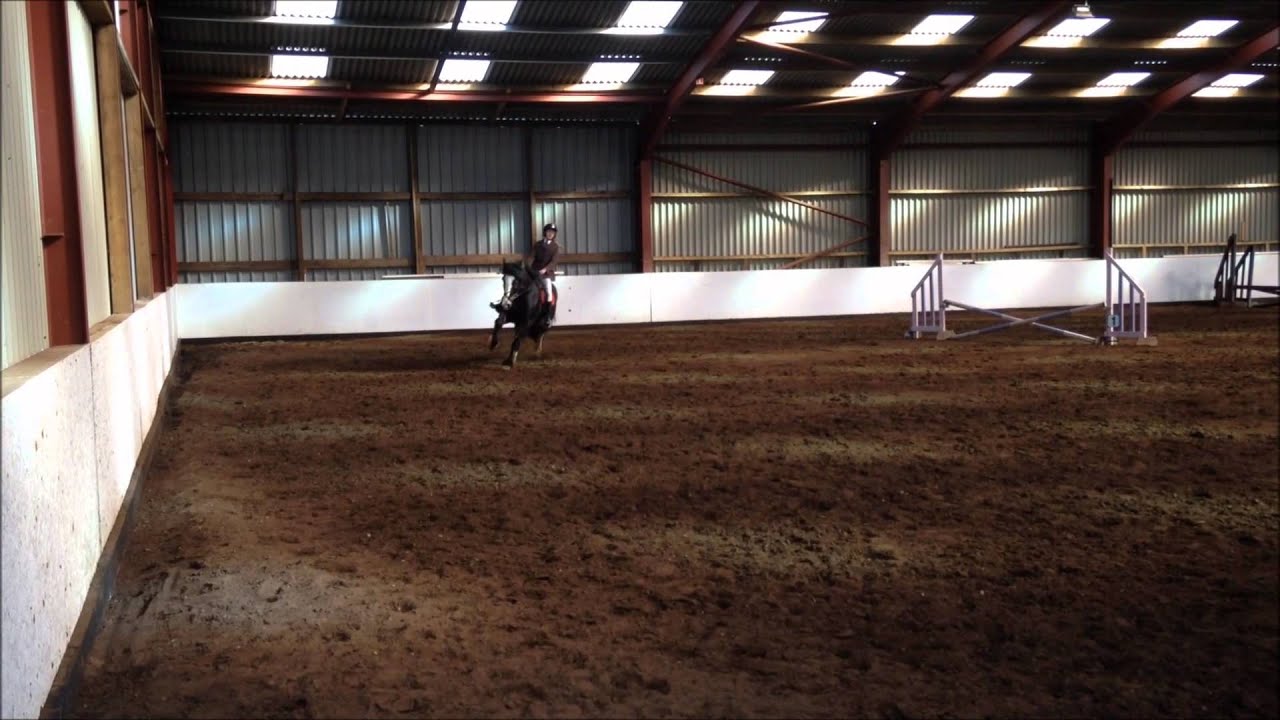 The modern equestrian: may 2010 shedfield equestrian centre winter show jumping - YouTube