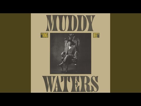 Putar Clouds In My Heart - Muddy Waters