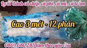 lưới đánh cá _ lưới đánh cá 3 màn / Cao 3 mét _ mắt 12 Phân lưới đánh cá chép cá trắm cá mè cá phi