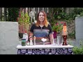 Beginning of video