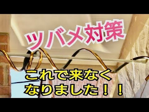 ツバメ撃退 ツバメ対策うちはこれでこなくなりました Youtube