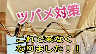 ツバメ撃退！ツバメ対策うちはこれでこなくなりました！