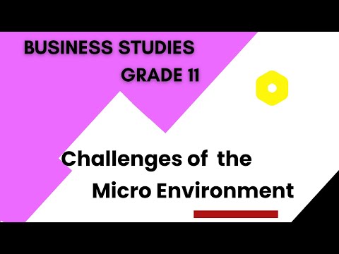 Challenges of the Micro Environment | Business Studies Grade 11