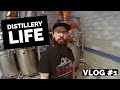 Distillation de rhum tiquetage de gin et premiers fts de whisky de seigle  distillery life 01