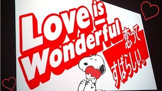 Love Is Wonderful Original Short Snoopy Museum