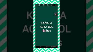 TURKEMENISTANDA ISLEYAN VPN 2021 screenshot 1