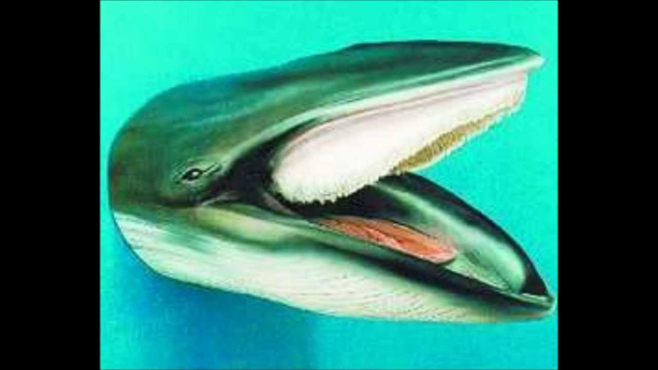 Ser ikke forskjell jeg...