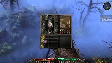 I Was Not Expecting You, Human - Grim Dawn Gameplay