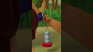 DON'T BLINK OR YOU'LL MISS THIS BIRD! | Leo the Wildlife Ranger #shorts