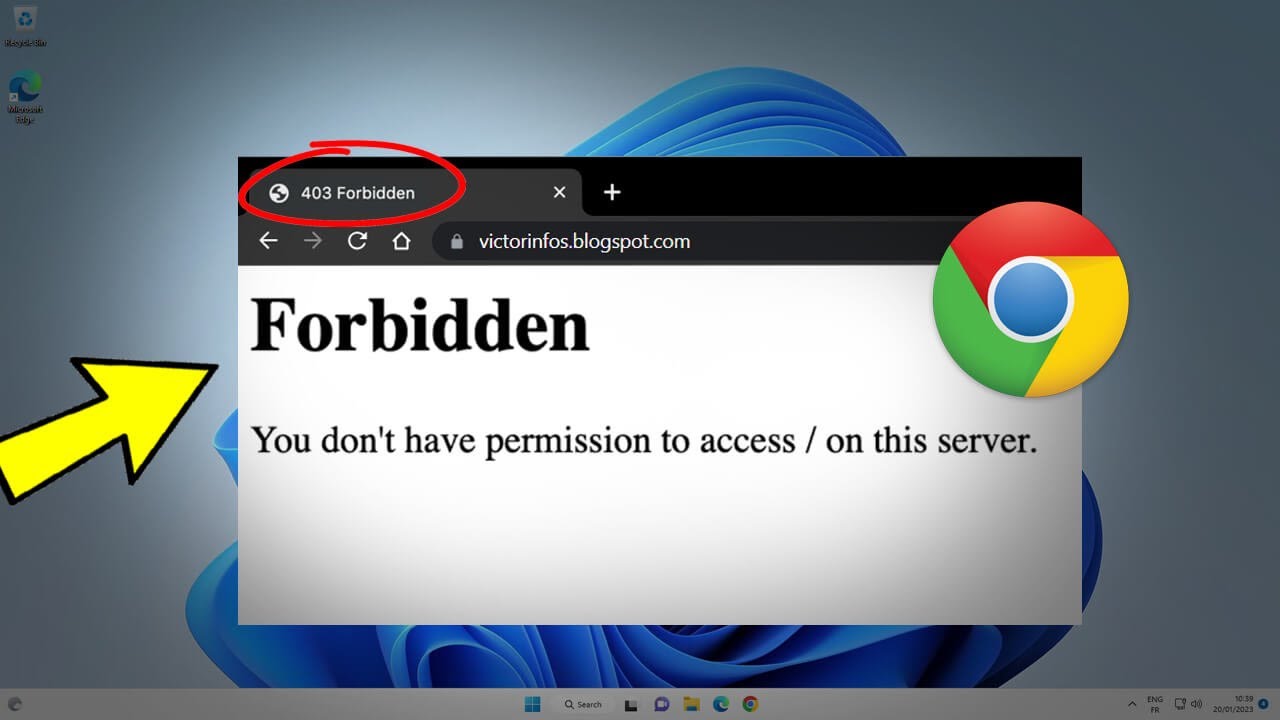 How to Fix Error 403 Forbidden on Windows 11? 