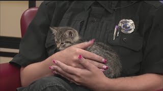 Friday pets 8/1/25
