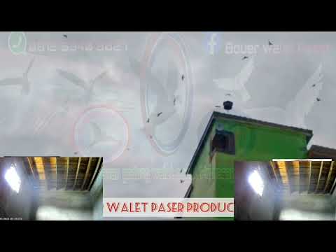 SP SEDOD PUSAKA PASER,BATARA GURU,