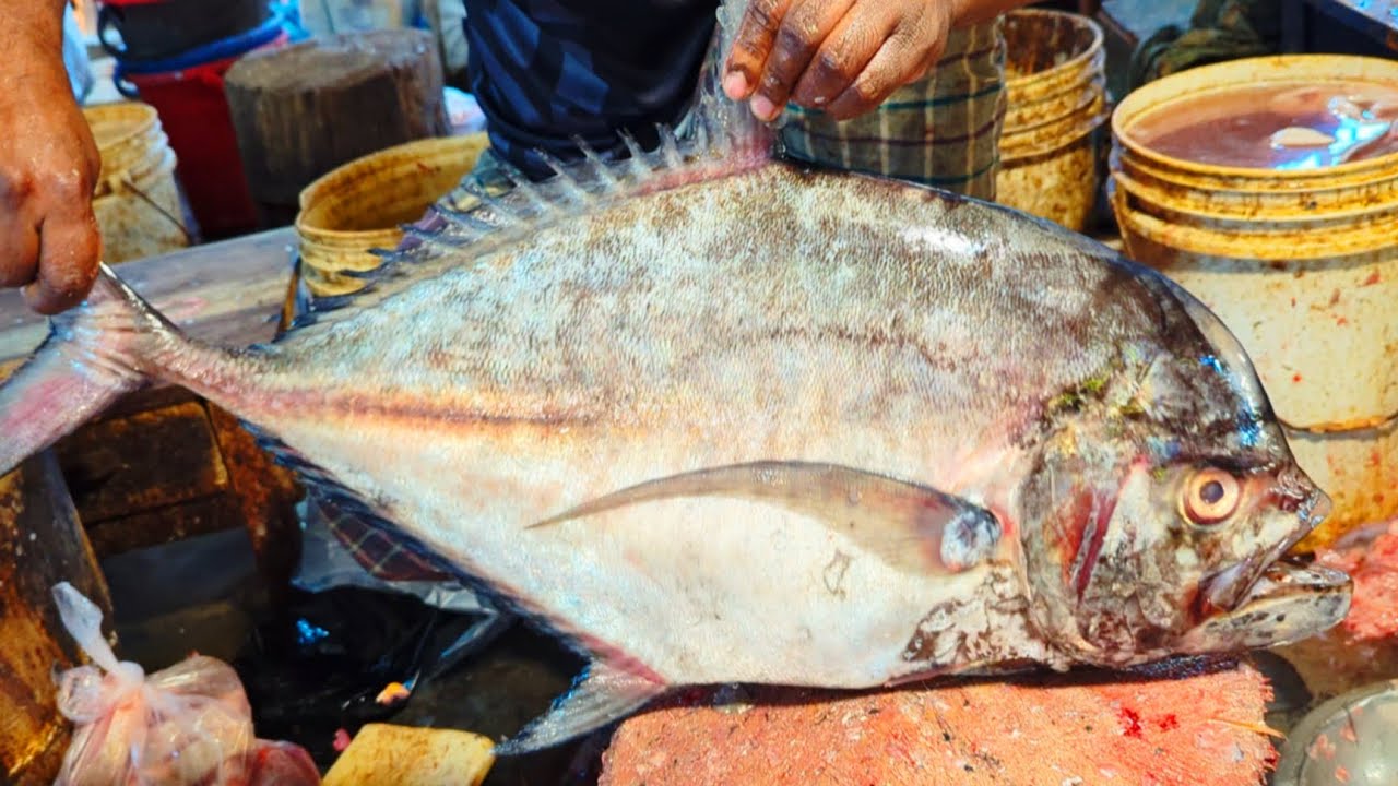 Incredible Huge Travally Fish Cutting Skills In Bangladesh Fish Market