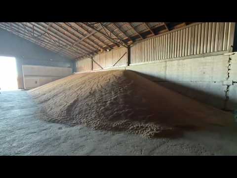 KAMAZ driver steals over 100 tons of grain worth 8 million tenge in Kostanay region