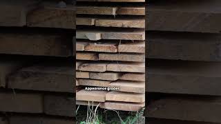 Timber Grading Explained | Know Your Wood Quality