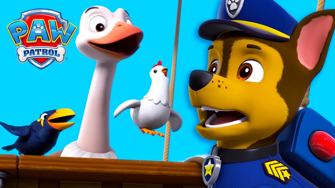 Myrna madárbarátainak megmentése 🐦 | Mancs Őrjárat | PAW Patrol
