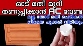 ഓട് മതി മുറി തണുപ്പിക്കാൻ AC വേണ്ട മുട്ട തോട് മതി ചെടികൾ നിറയെ പൂക്കൾ വിരിയും