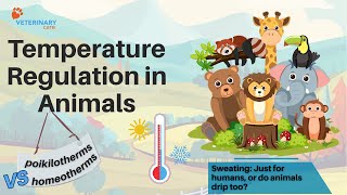 Temperature regulation in Animals: The Secret Science of Body Temperature!