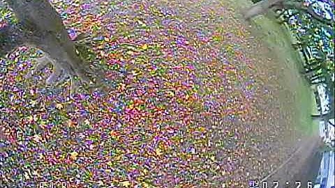 Mobula 6 & TinyHawk 2 Freestyle flights 18/10/2020