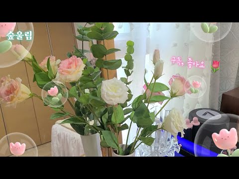 [ⓥⓛⓞⓖ]"미스모네"에서 생화같은 조화를 샀어요 (୨୧•͈ᴗ•͈)