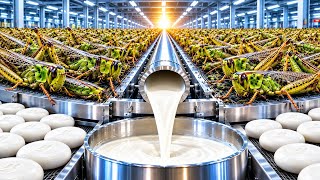 Inside A Grasshopper Processing Factory | Full Process Of Making Premium Soap