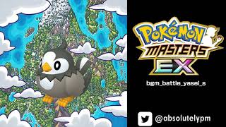 Battle Wild Pokémon - Sinnoh Version Master Style Pokémon Masters Ex