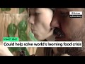 Bloomberg Tries to Make ‘Planet Friendly’ Bug-Eating Palatable #GreatAwakening
