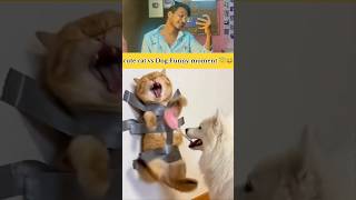 youtube shorts । instagram reels । whatsapp status ❤️
