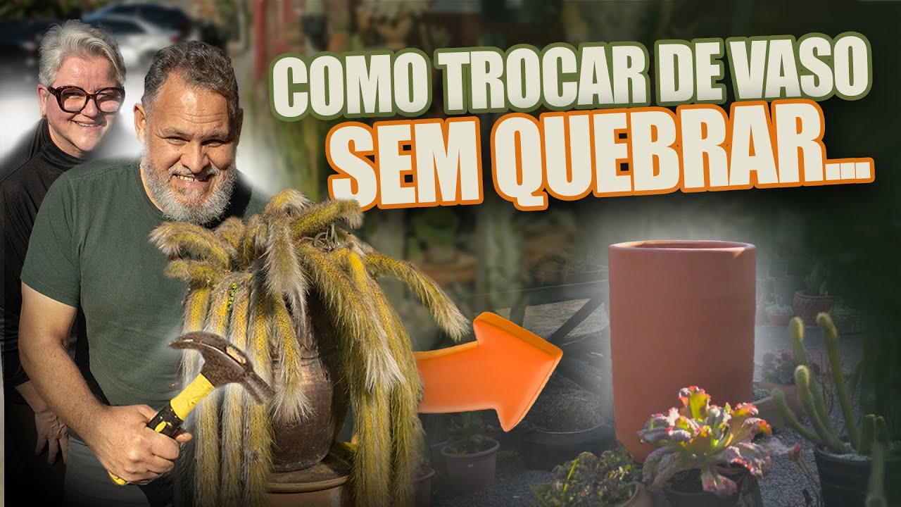 054 | Transplantando um Rabo de Macaco Gigante
