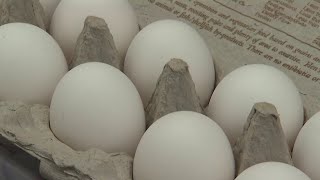 Consumers struggle with rising egg prices